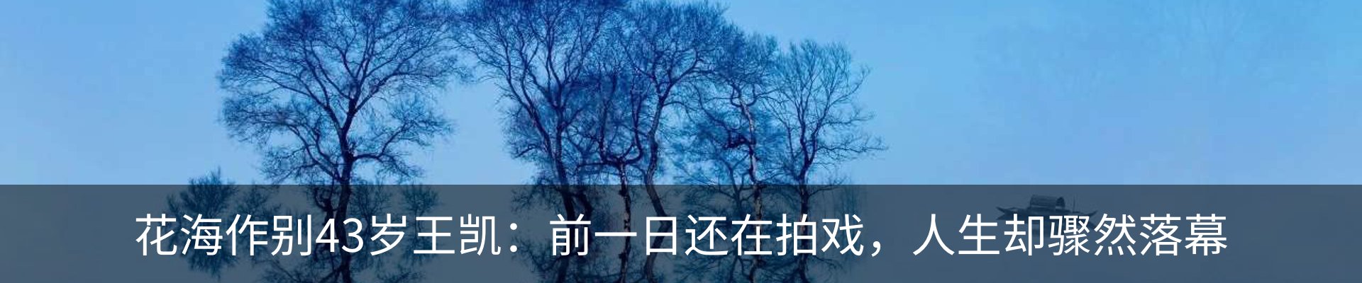 新闻中心